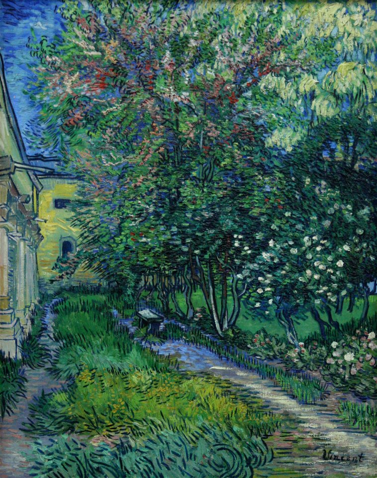 The garden at the asylum at Saint-Rémy