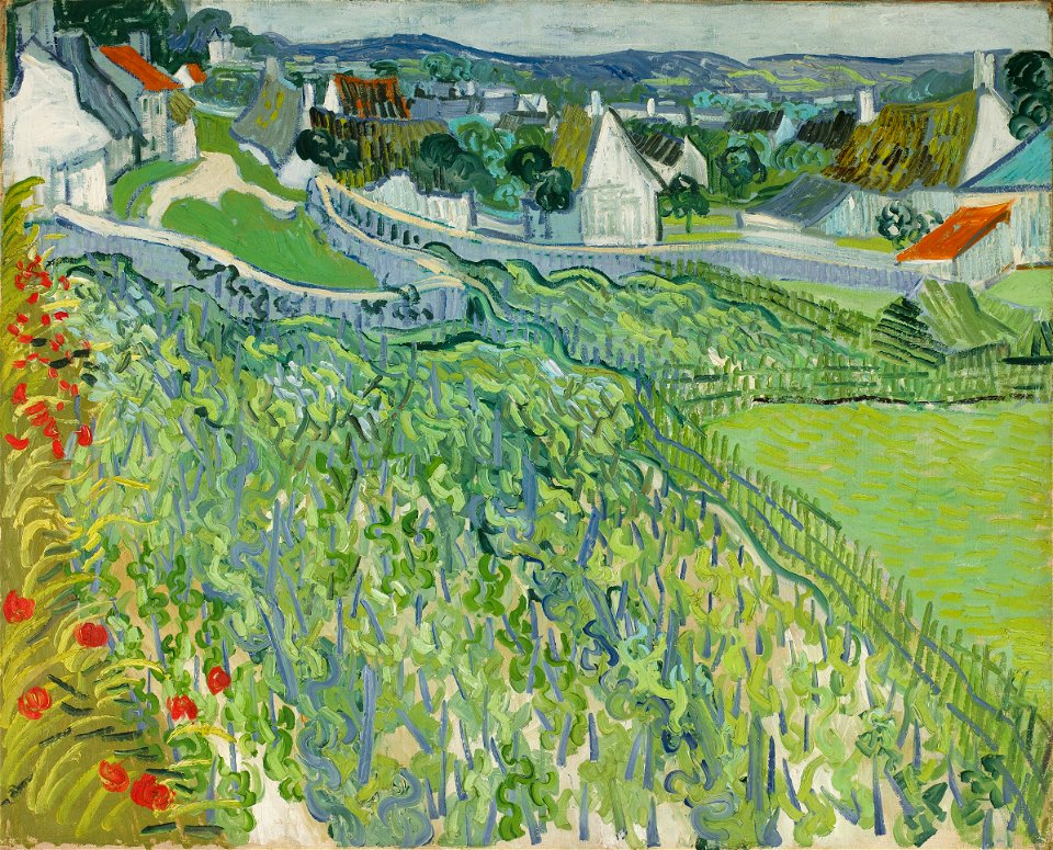 Vincent van Gogh - Vineyards at Auvers (1890)