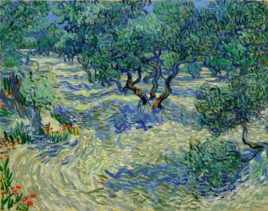 Vincent van Gogh - Olive Orchard - Google Art Project. Free illustration for personal and commercial use.