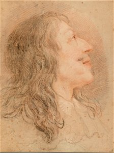 Van Loo, Carle (Luis XIII, rey de Francia)