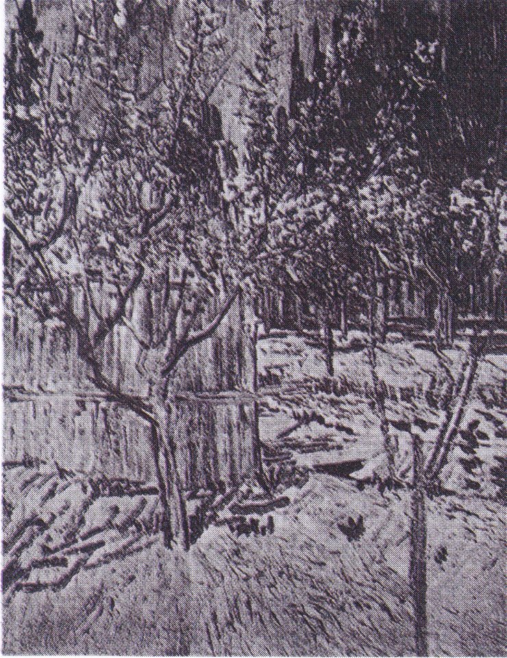 Van Gogh - Blühender Obstgarten mit Aprikosenbäumen