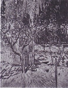 Van Gogh - Blühender Obstgarten mit Aprikosenbäumen