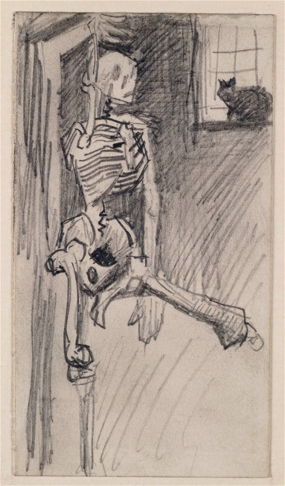 Van Gogh, Hanging Skeleton and Cat