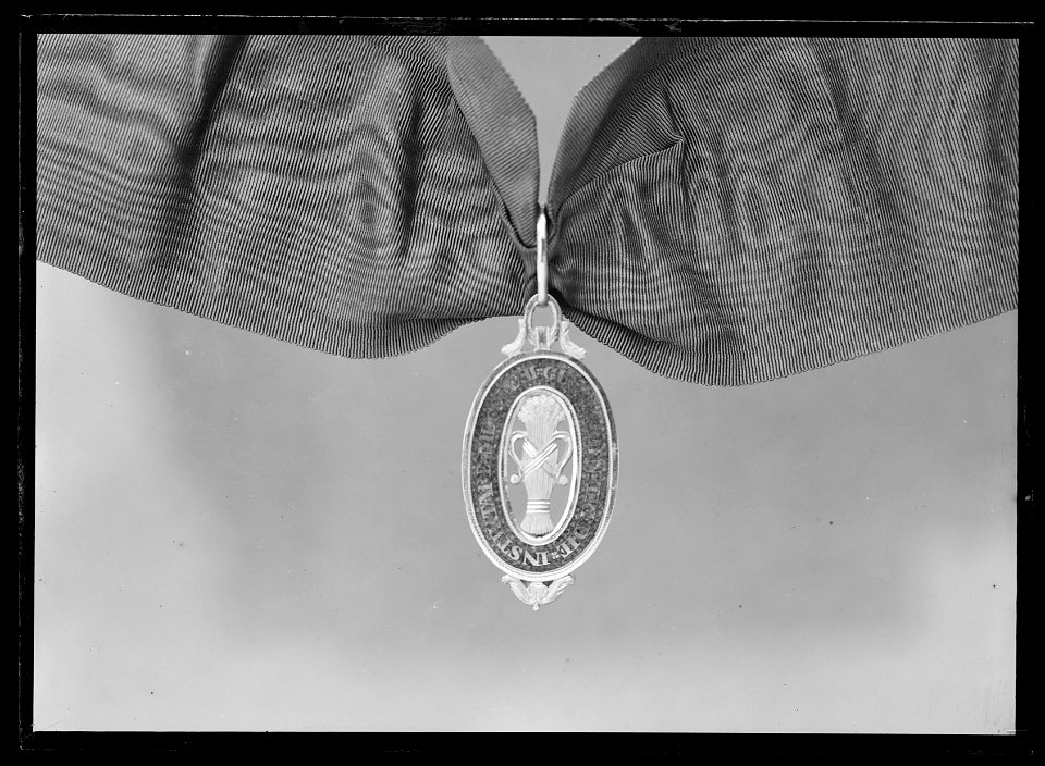 Vasaorden riddartecken m:1772 - Livrustkammaren - 60289