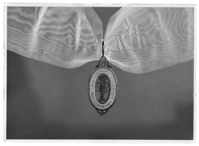 Vasaorden riddartecken m:1772 - Livrustkammaren - 60289-negative
