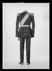Vapenrock, till Oskar Is generalsuniform m:1845 - Livrustkammaren - 9955. Free illustration for personal and commercial use.