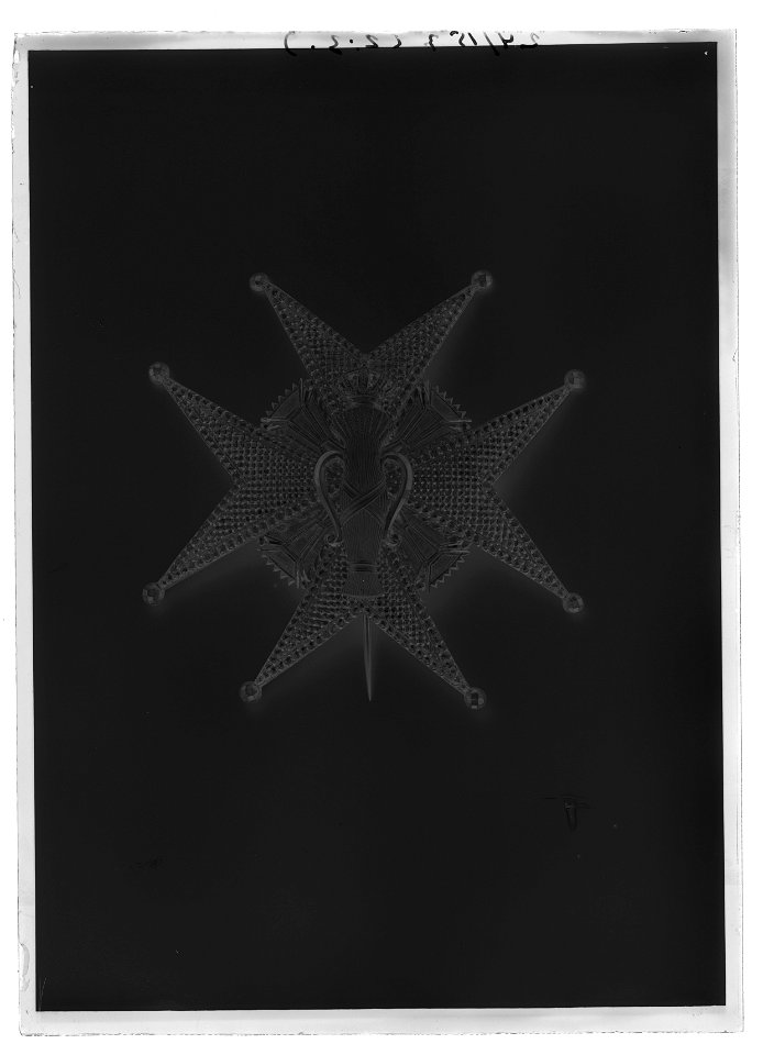 Vasaorden kraschan kmstk - Livrustkammaren - 51920-negative