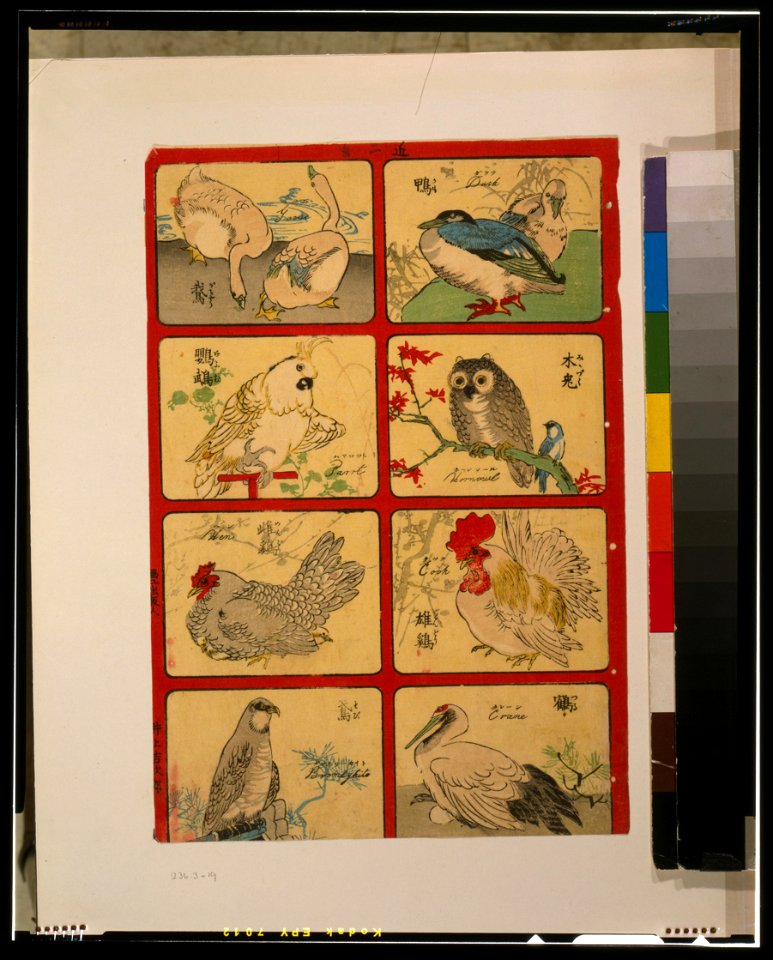 Various types of birds LCCN2002700191