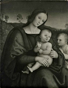 Vannucci Pietro, Madonna con Bambino e san Giovannino, 21073