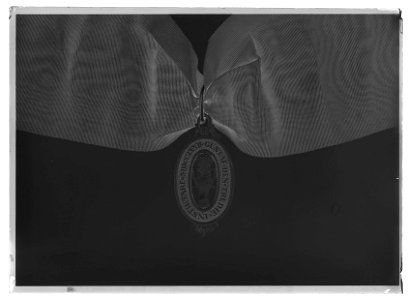 Vasaorden riddartecken m:1772 - Livrustkammaren - 26131-negative