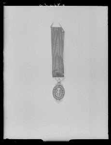 Vasaorden riddartecken miniatyr - Livrustkammaren - 53595