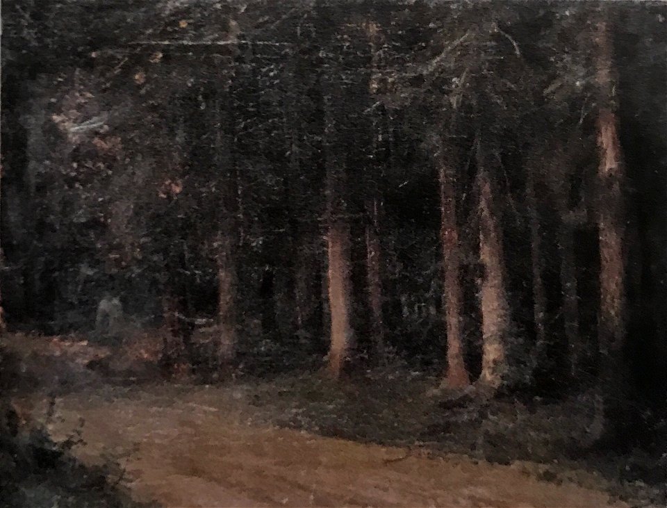 Vasilyev Road in a pine forest 1870 grm