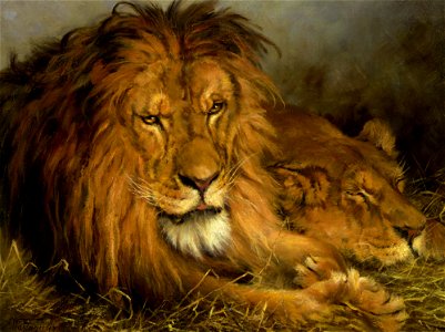 Vastagh A Lion and a Lioness