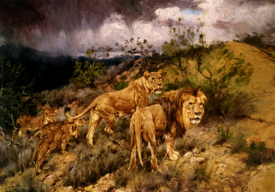 Vastagh A Family of Lions