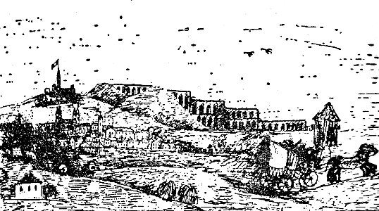 Veisa and Pogor take the stagecoach ride to Kraków, 1849 ILR 440
