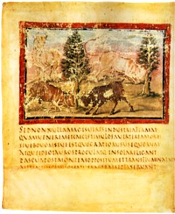 VaticanVergilFolio04vBullsFighting