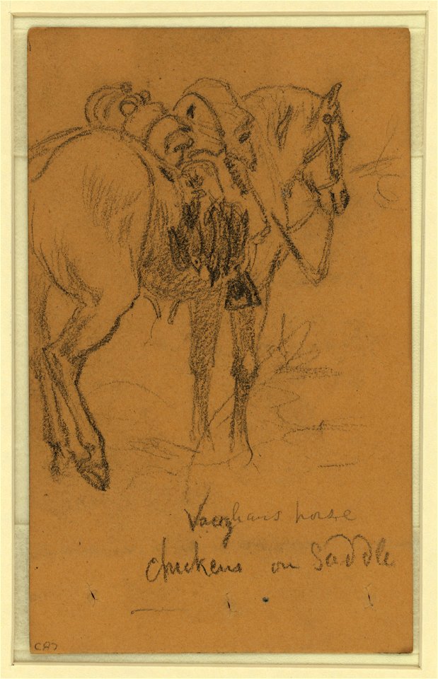 Vaughans horse, chickens on saddle LCCN2004661136