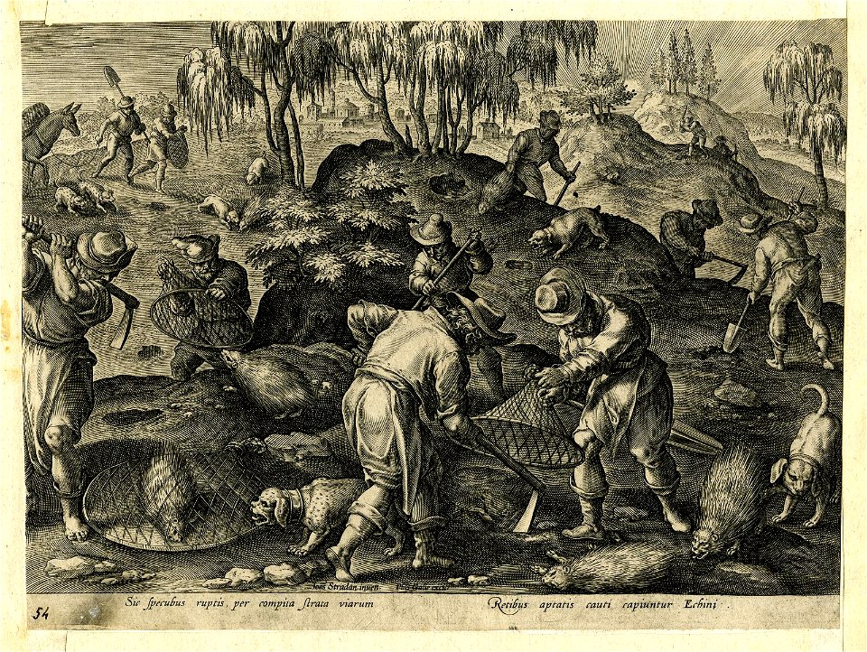 Venationes Ferarum, Avium, Piscium (BM 1957,0413.100)