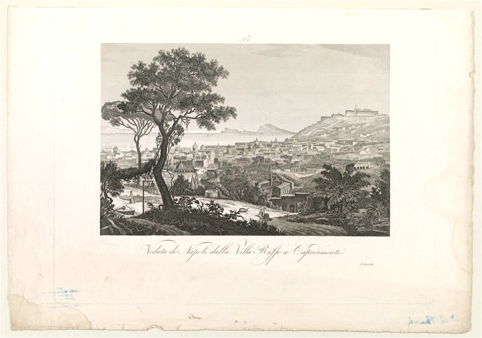 Veduta di Napoli dalla Villa Ruffo a capodimonte LCCN2003674779