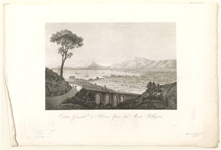 Veduta generale di palermo presa dal Monte Pellegrino LCCN2003674780