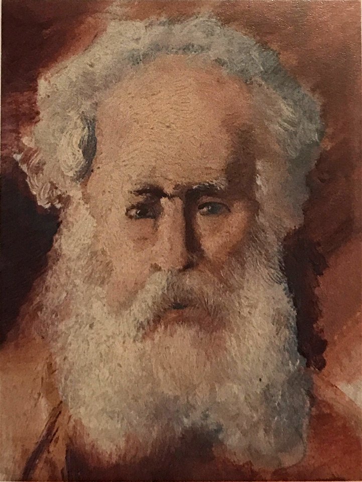 Vasilyev Head of an old man 1860s grm