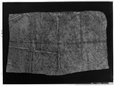 Vaxduk ur Lützenminnena - Livrustkammaren - 145-negative