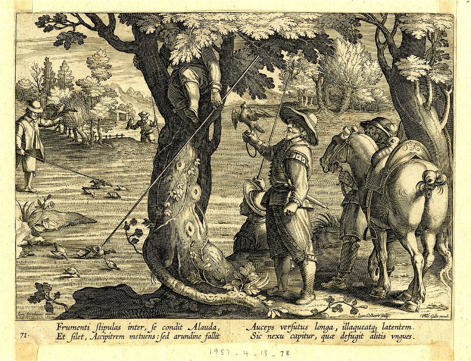 Venationes Ferarum, Avium, Piscium (BM 1957,0413.78)