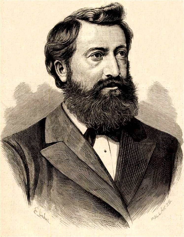 Veigelsberg Leó (Pollák Zsigmond metszete, 1879)