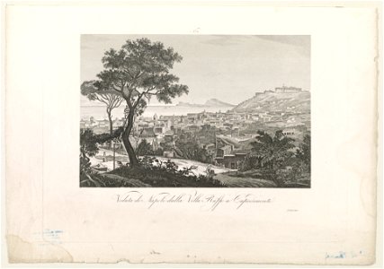 Veduta di Napoli dalla Villa Ruffo a capodimonte LCCN2003674779