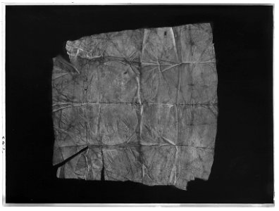 Vaxduk ur Lützenminnena - Livrustkammaren - 8704-negative