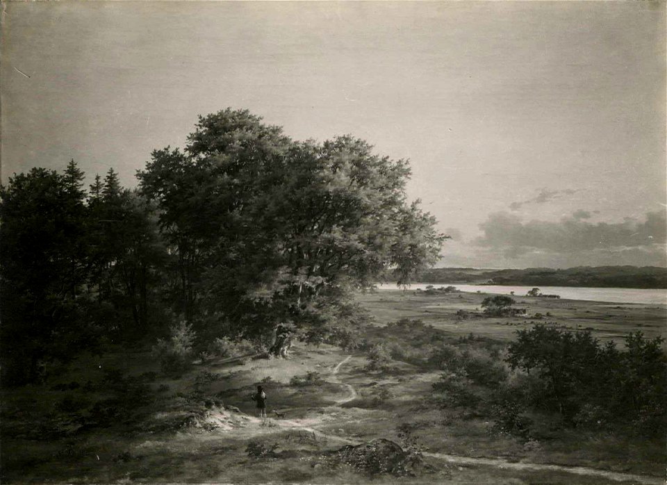Ved Jægerspris (Hammer)