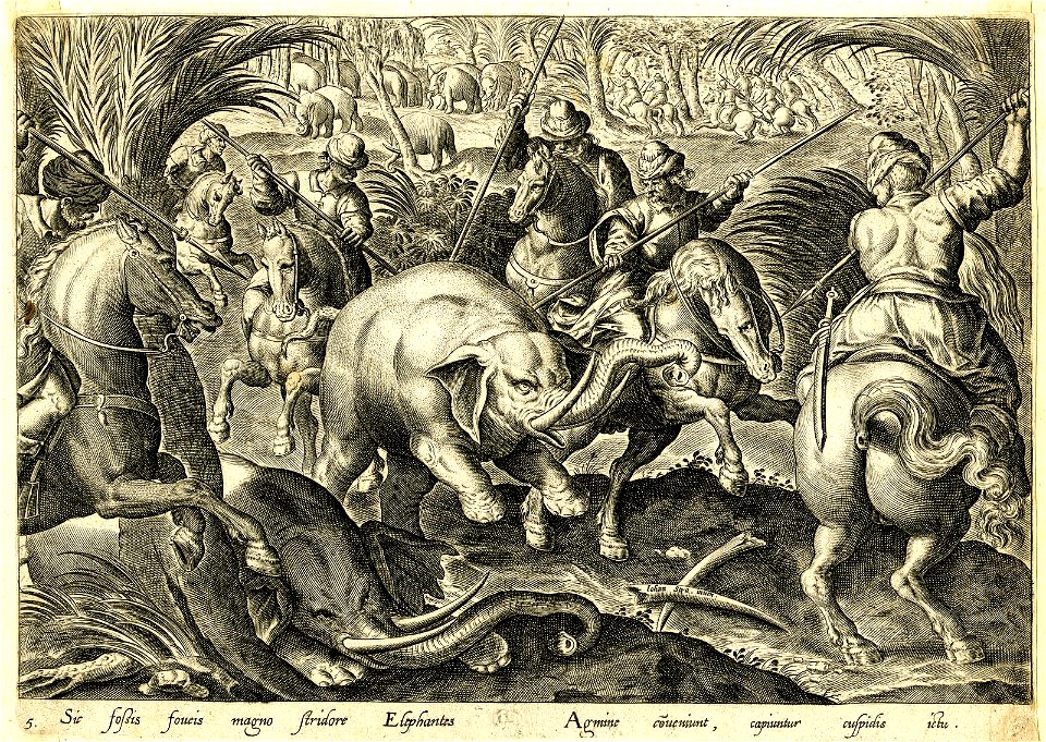 Venationes Ferarum, Avium, Piscium (BM 1957,0413.233)