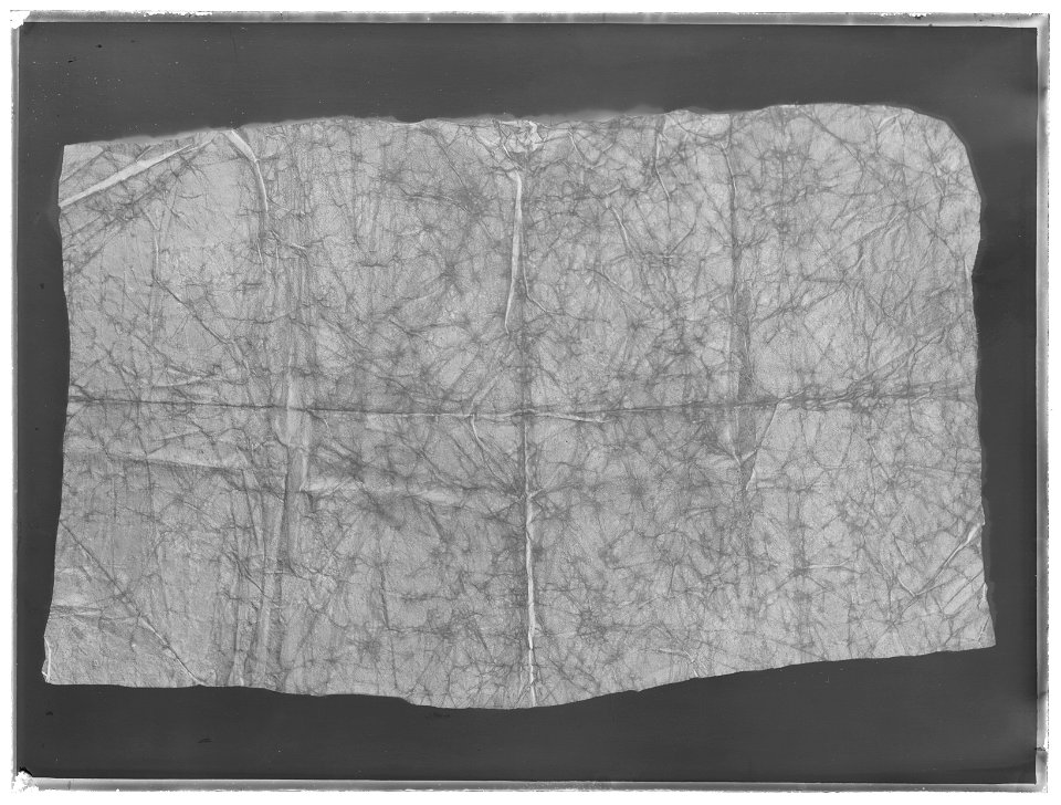 Vaxduk ur Lützenminnena - Livrustkammaren - 51510-negative