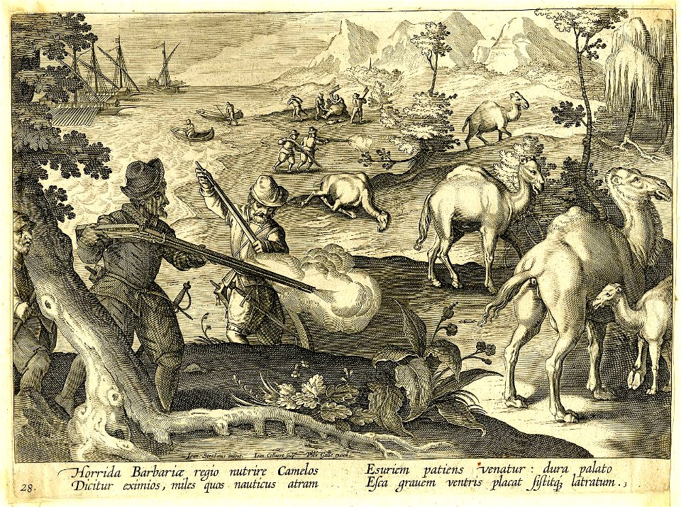 Venationes Ferarum, Avium, Piscium (BM 1957,0413.58)