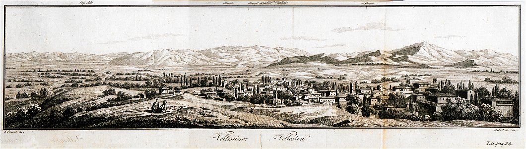 Vellestino - Pomardi Simone - 1820