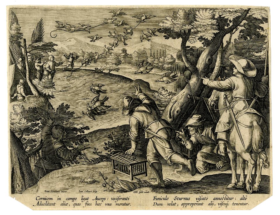 Venationes Ferarum, Avium, Piscium (BM 1901,0611.50)