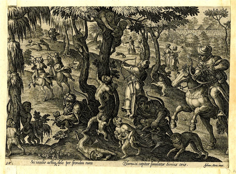 Venationes Ferarum, Avium, Piscium (BM 1957,0413.104)
