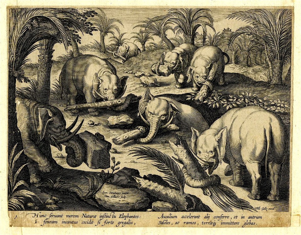 Venationes Ferarum, Avium, Piscium (BM 1957,0413.38)