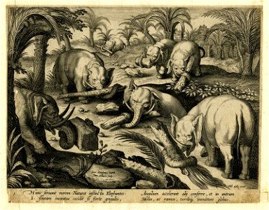 Venationes Ferarum, Avium, Piscium (BM 1957,0413.38)