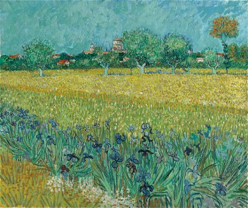 Veld met irissen bij Arles - s0037V1962 - Van Gogh Museum