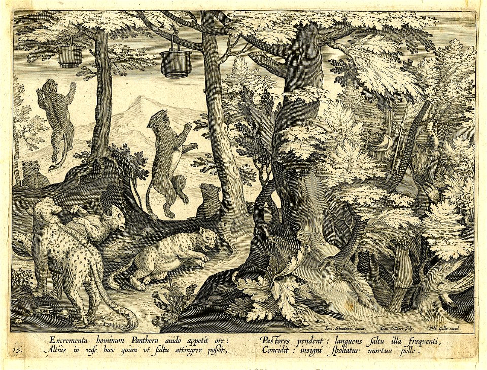 Venationes Ferarum, Avium, Piscium (BM 1957,0413.51)