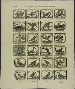 Velerhande vogelen, volgens alphabetische orde gerangschikt-Catchpenny print-Borms 0647