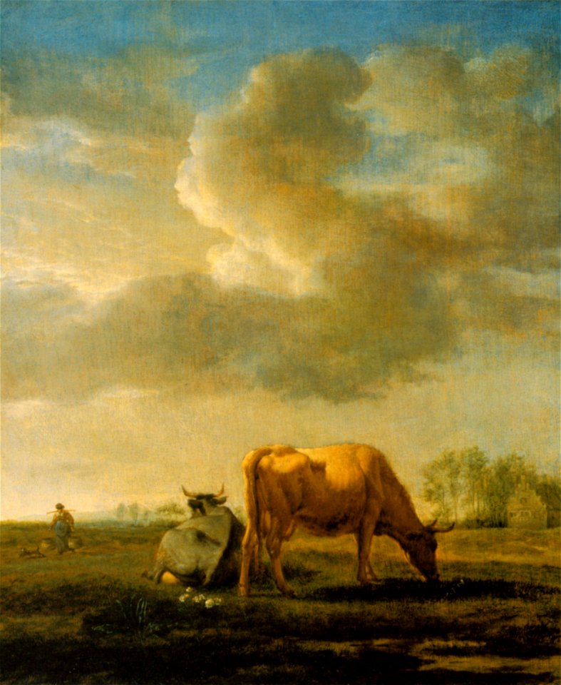 Adrien-van-de-velde kuehe