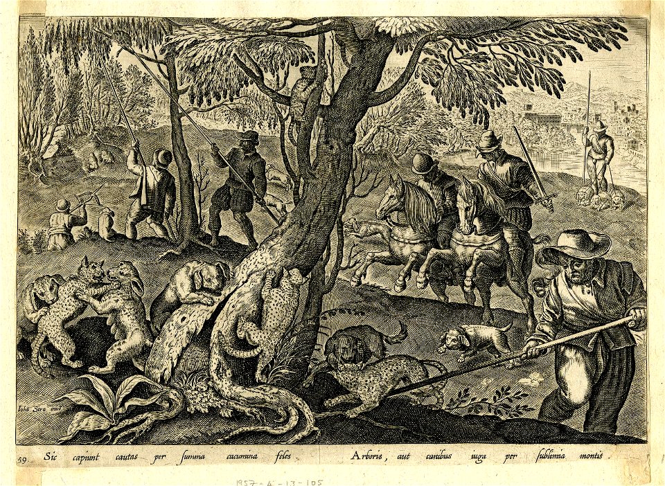Venationes Ferarum, Avium, Piscium (BM 1957,0413.105)