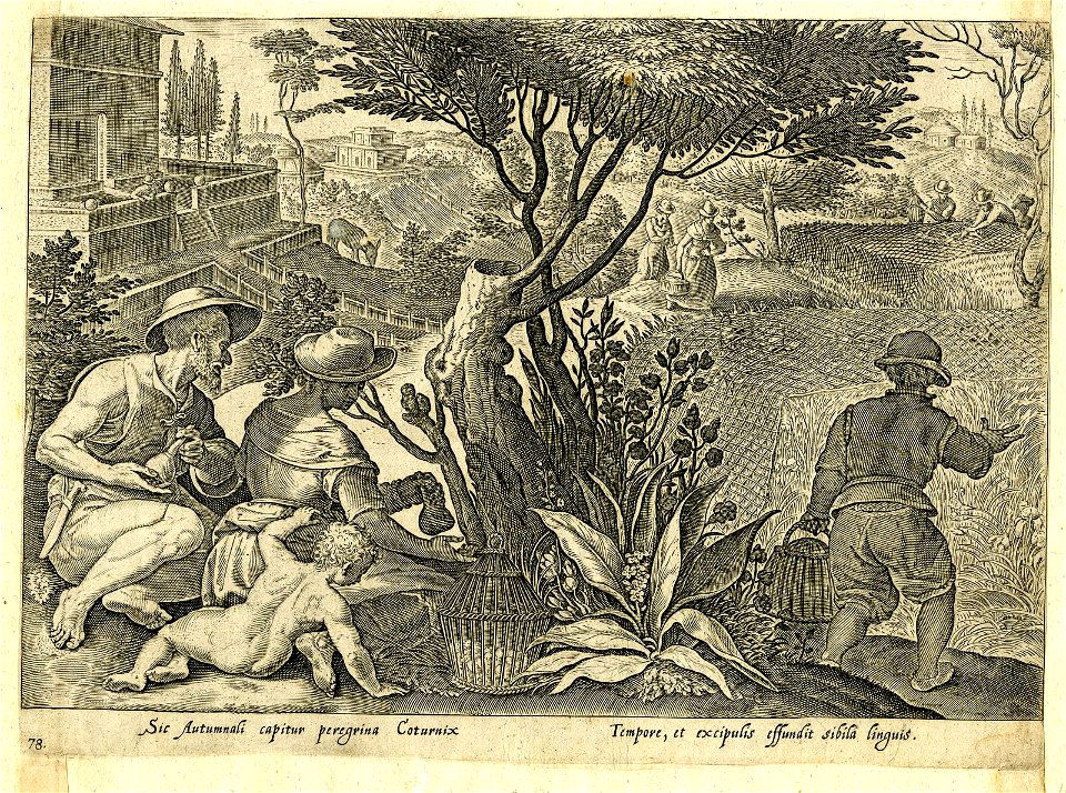 Venationes Ferarum, Avium, Piscium (BM 1957,0413.116 1)