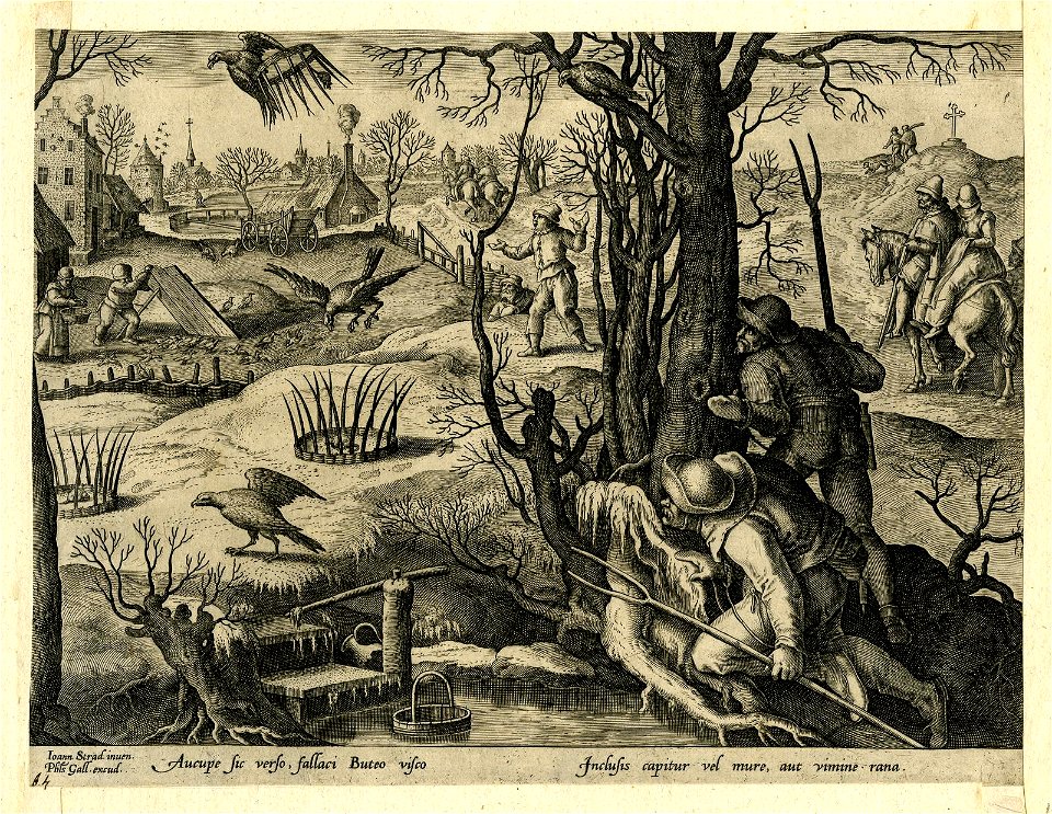 Venationes Ferarum, Avium, Piscium (BM 1957,0413.108)