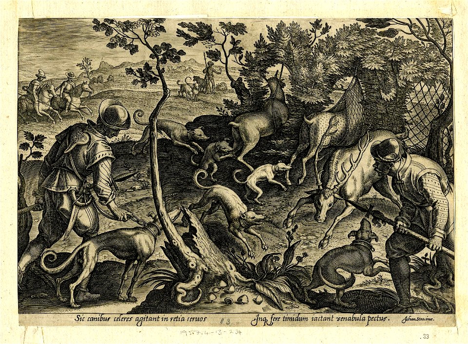 Venationes Ferarum, Avium, Piscium (BM 1957,0413.234)