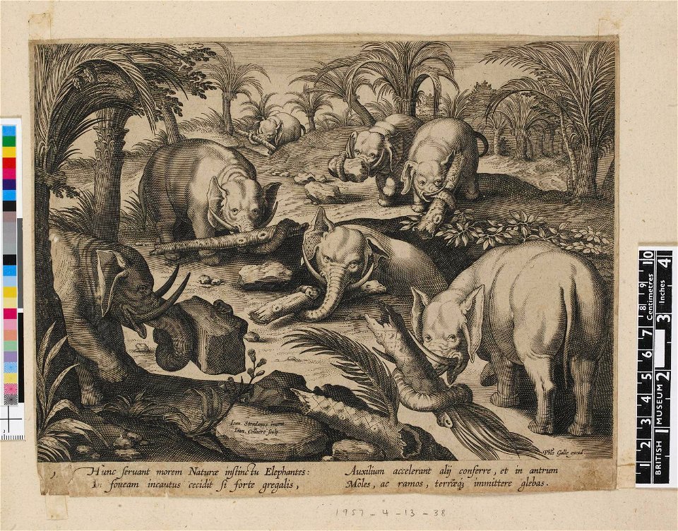 Venationes Ferarum, Avium, Piscium (BM 1957,0413.38 1)