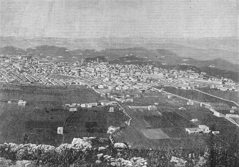 Veduta generale di Alcamo (xilografia)