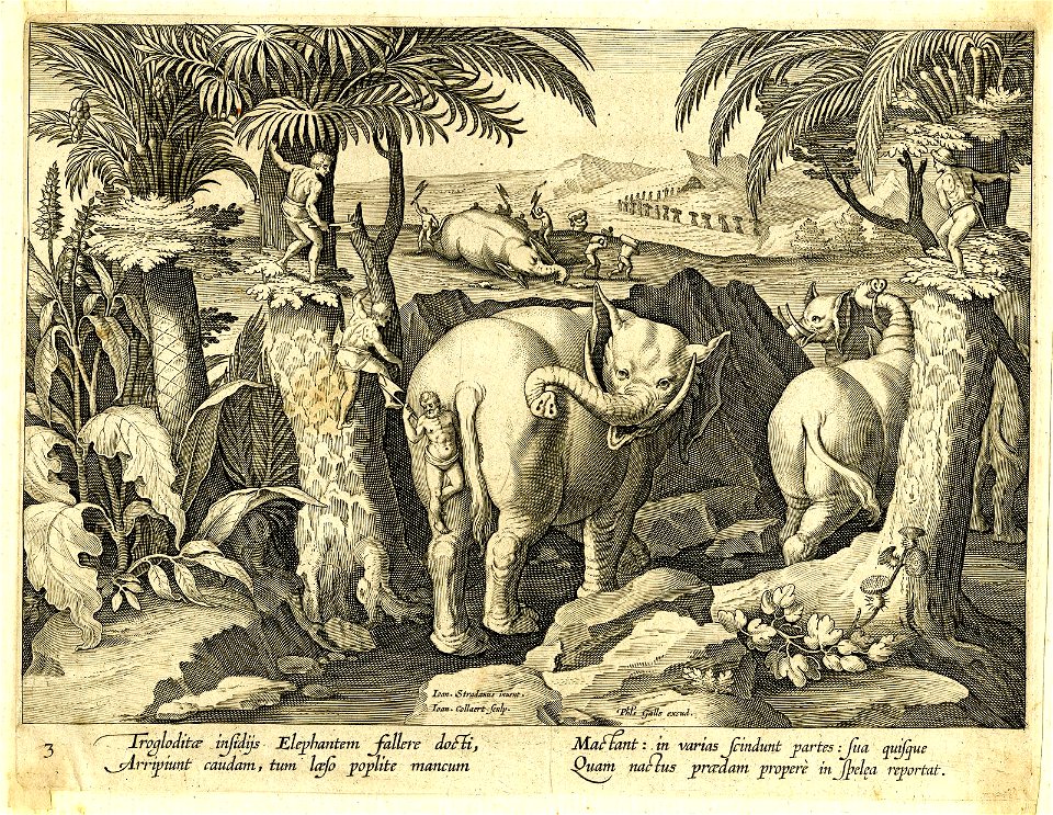 Venationes Ferarum, Avium, Piscium (BM 1957,0413.40)